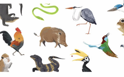 AAR: Thinking Animals & Religion, Rethinking Ethics