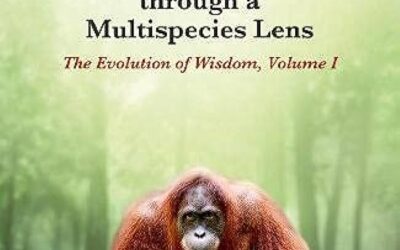 AAR: Responding to Celia Deane-Drummond