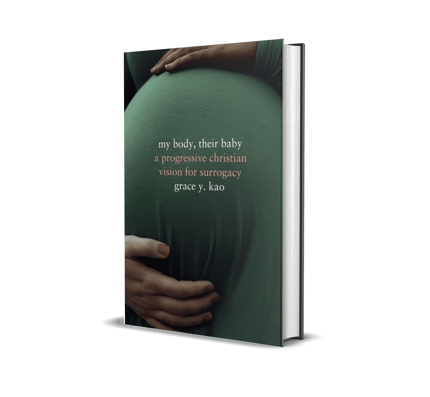 My Body Their Baby_3d book cover