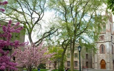 Fordham U. Presentation